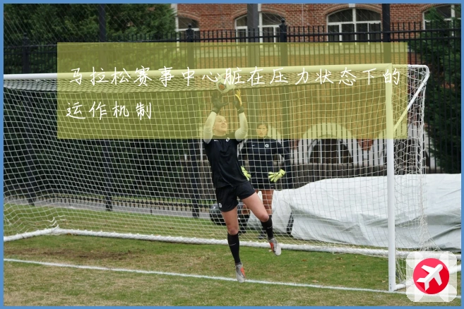 马拉松赛事中心脏在压力状态下的运作机制