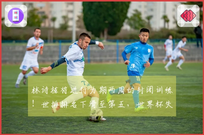 林诗栋将进行为期两周的封闭训练！世排排名下滑至第五，世界杯失去种子位，肩伤成为最大威胁