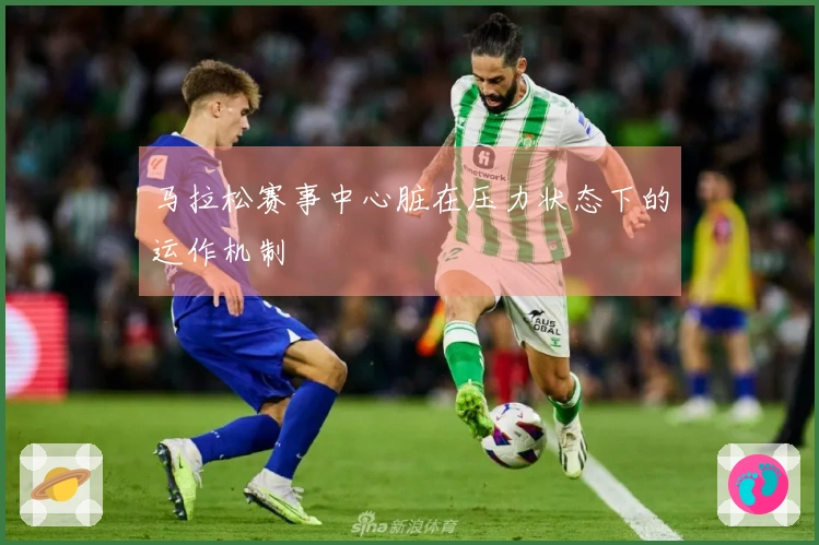 马拉松赛事中心脏在压力状态下的运作机制